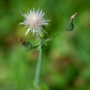 Donzy_20180715_DSC_4211