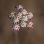 Donzy_20180828_DSC_5037