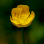 Donzy_20190501_DSC_5751