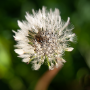 Donzy_20190504_DSC_5810