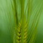 Donzy_20190506_DSC_5890