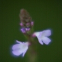 crezan_20200818_DSC_6558