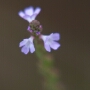 crezan_20200818_DSC_6612