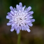 crezan_20200818_DSC_6623
