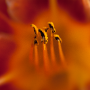 sans titre_20130713_DSC04939
