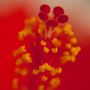 sans titre_20130714_DSC04981