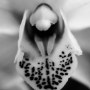 Orchidée, Jardin des plantes, Paris, 2017