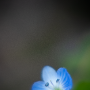 Donzy_20180715_DSC_4191