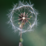 Donzy_20180822_DSC_4894-Modifier