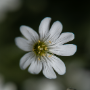 Donzy_20190506_DSC_5901