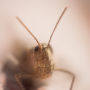 Donzy_DSC06500