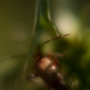 Donzy_DSC06657