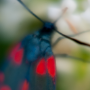 sans titre_20130713_DSC04864