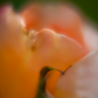 sans titre_20130714_DSC05040