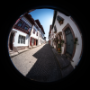 Dax_20250716_DSCF0828