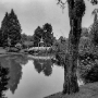 Donzy_200308_306