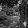 Donzy_200308_321-Modifier