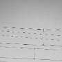 54667605101_1deb62397f_c
