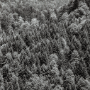 Pyrénées, 1993