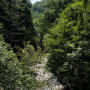 Dax_20250716_DSCF0838