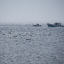 Arcachon_20101016_dsc02632