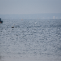 Arcachon_20101016_dsc02637