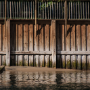 Arcachon_20101016_dsc02723