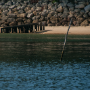 Arcachon_20101016_dsc02729