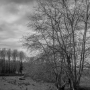 Arthous_20170128_DSC_0717