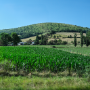 Dax_20250716_DSCF0891