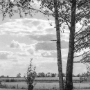 Donzy_199308_206