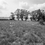 Donzy_200208_118