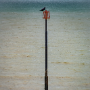 Eastbourne, 2008