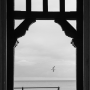 Brighton_20080811_20080811_eastbourne_dsc01694