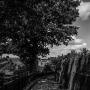 Brighton_20080812_20080812_rye_dsc01734-Modifier