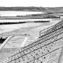 Royaume-Uni_199408_509