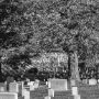 Arlington Cemetery, 1995