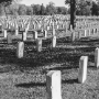 Arlington Cemetery, 1995