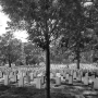 Arlington Cemetery, 1995