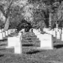 Arlington Cemetery, 1995