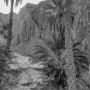 Tunisie_200509_308-Modifier