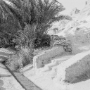 Tunisie_200509_310