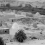 Tunisie_200509_316