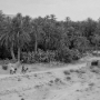Tunisie_200509_319