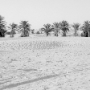Tunisie_200509_406