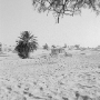 Tunisie_200509_410